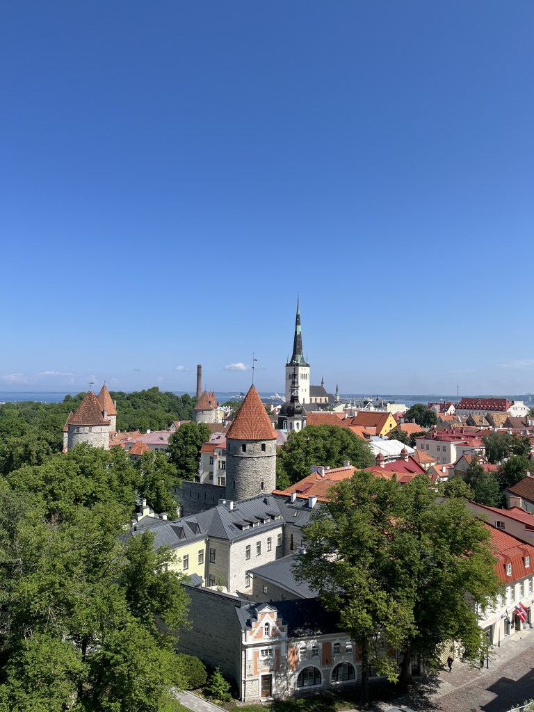 vista desde Colina de Toompea